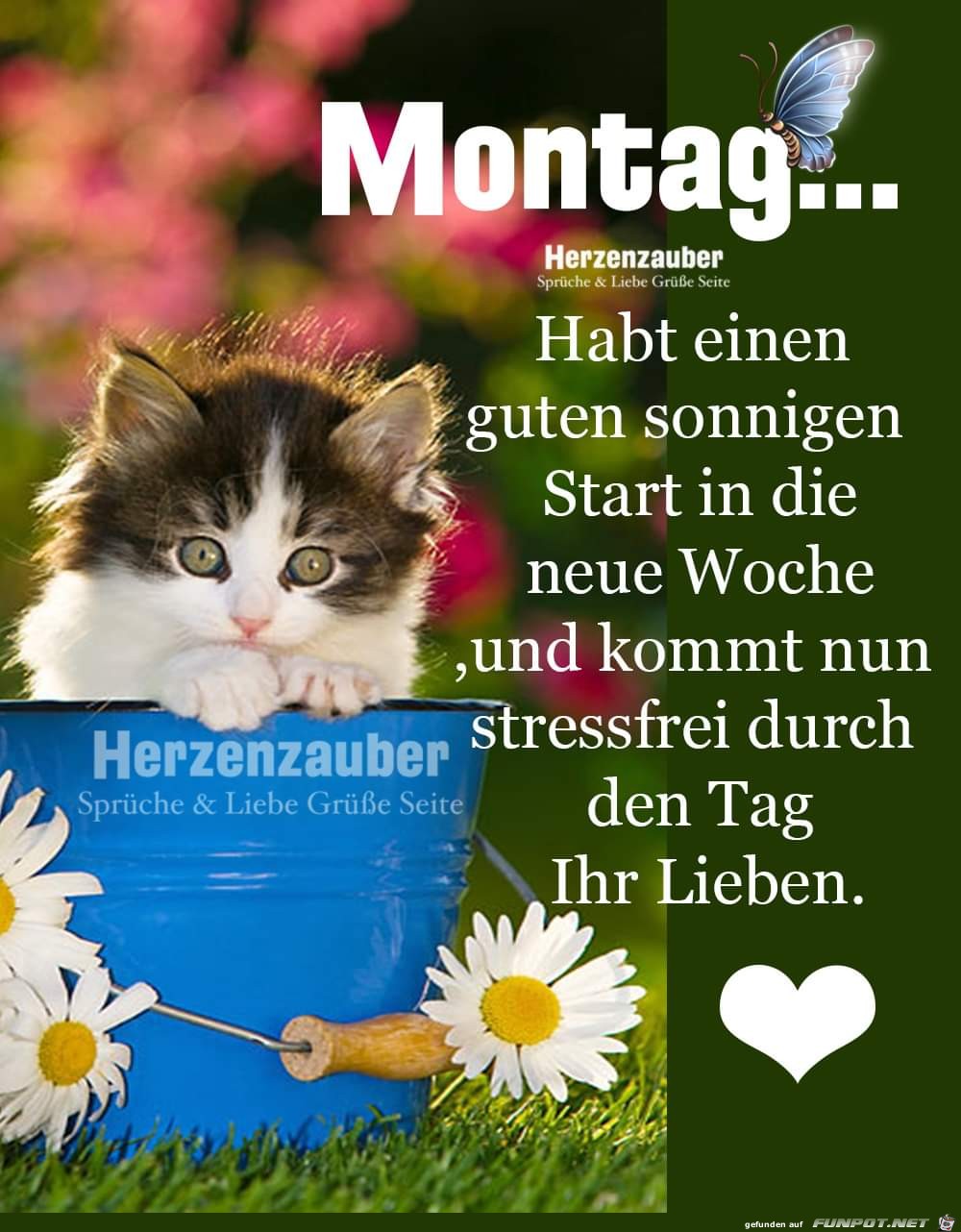 Montag