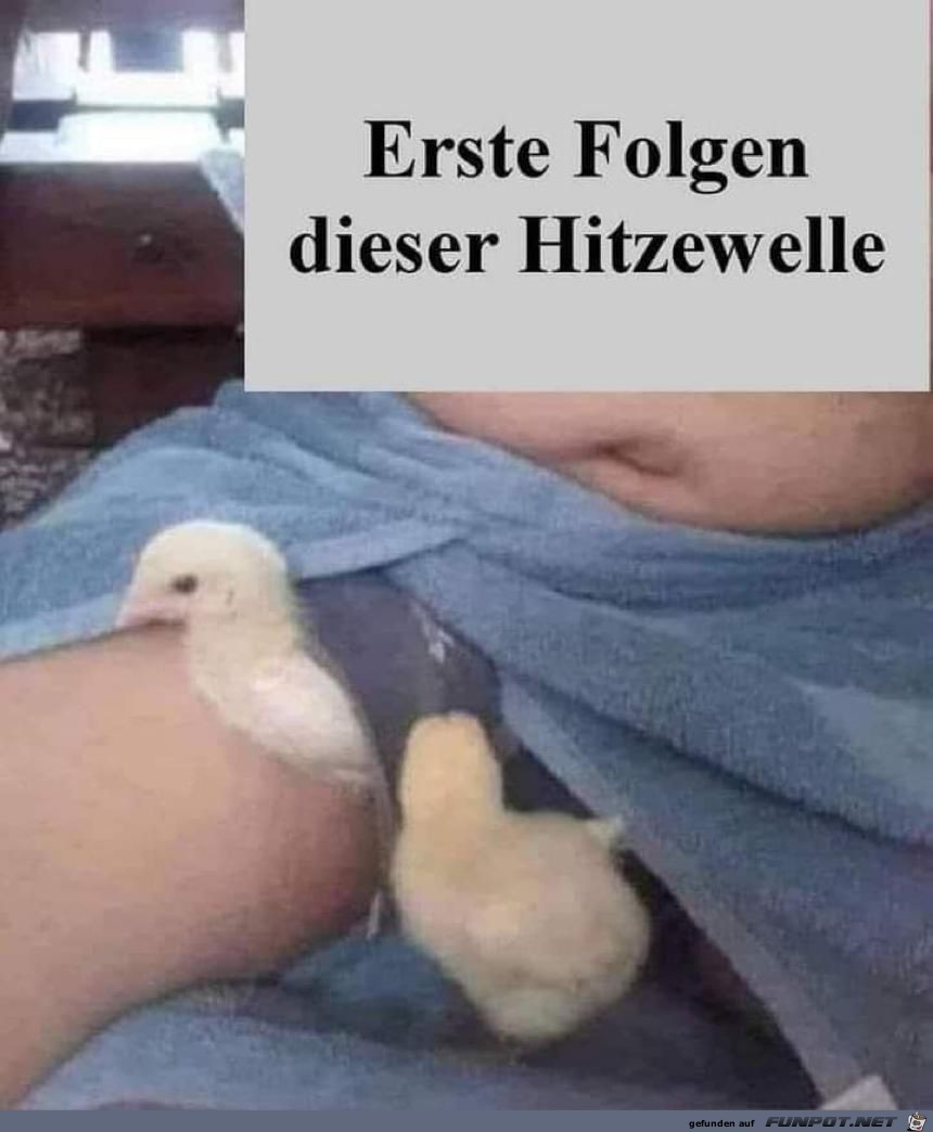 erste Folgen