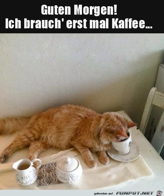 Guten Morgen