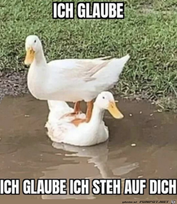 Ich steh auf dich