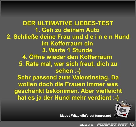 DER ULTIMATIVE LIEBES-TEST