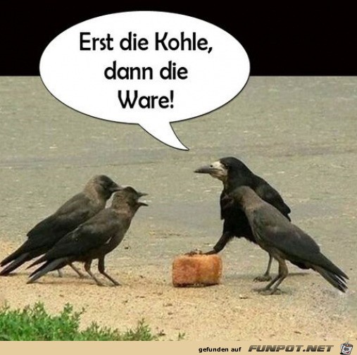 Erst die Kohle