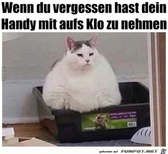 Handy vergessen