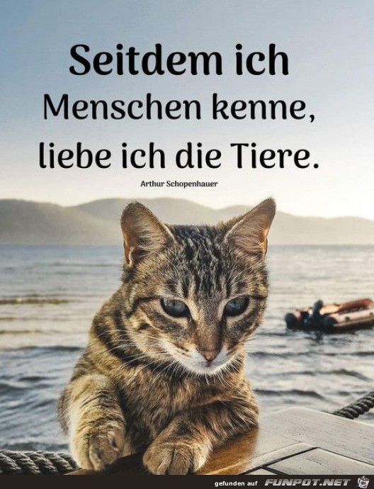 Ich liebe Tiere