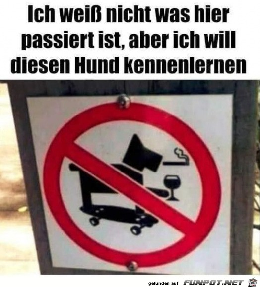 Den Hund will ich sehen