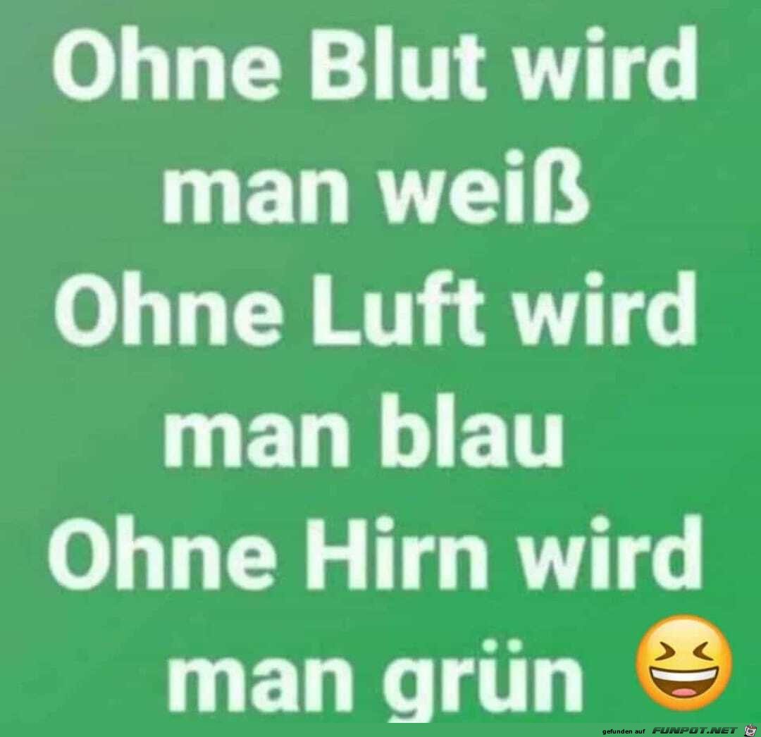 Ohne Blut