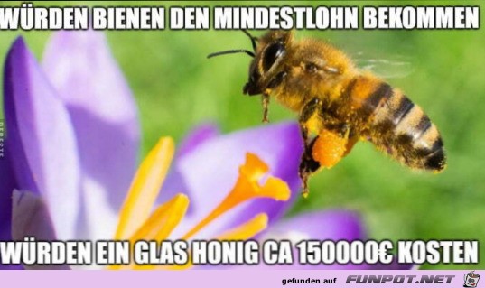 Mindestlohn fr Bienen