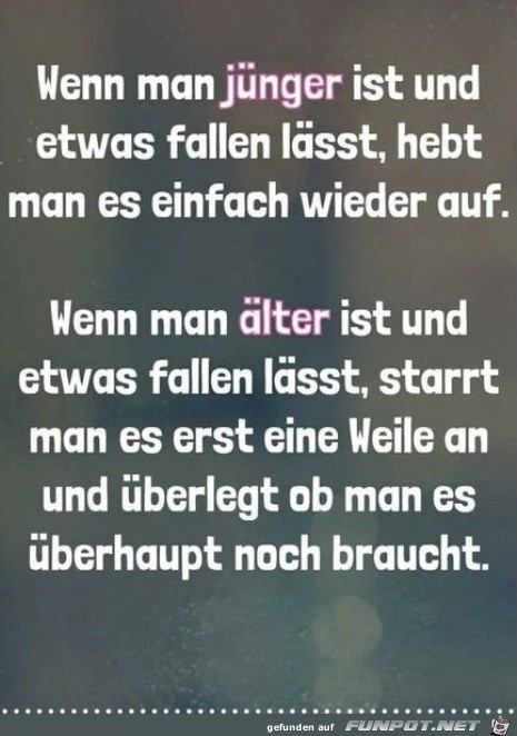 Alter Alter