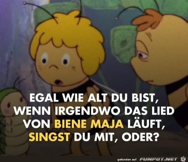 Egal wie alt du bist