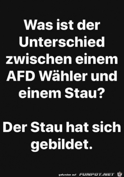 Afd vs. Bildung