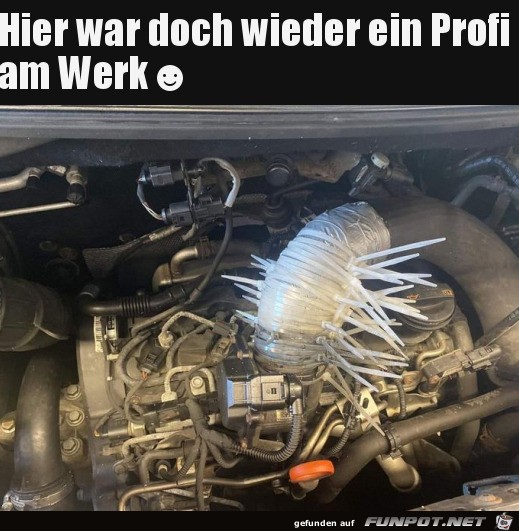 Ein Profi am Werk