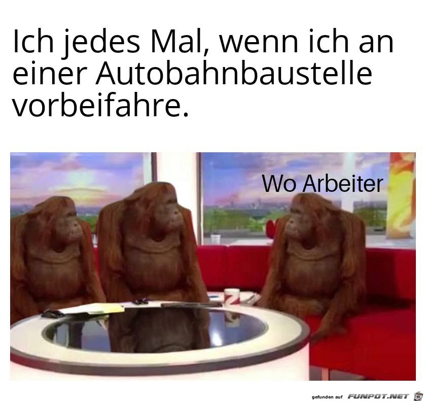 Das fragt man sich wirklich