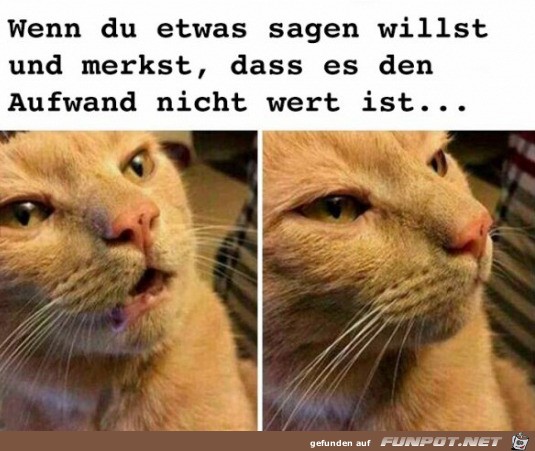 witzige Bilder aus verschiedenen Blogs