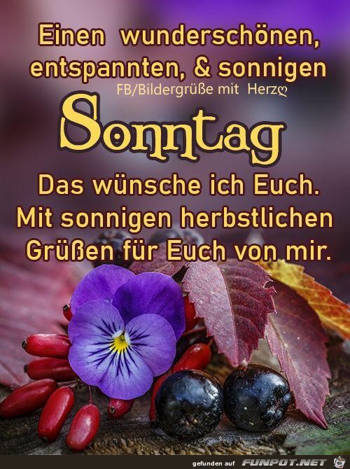 Sonntag