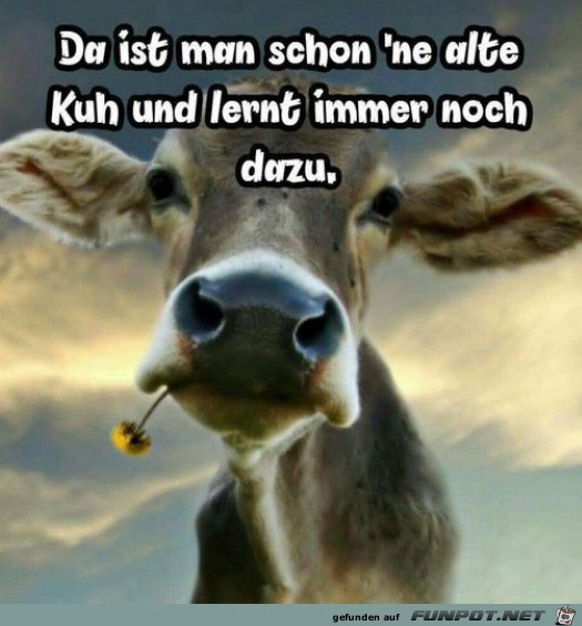 Man lernt immer dazu