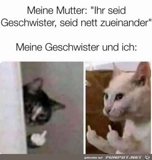 Geschwister