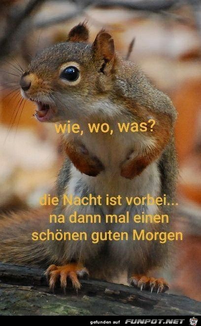 Wie Wo Was