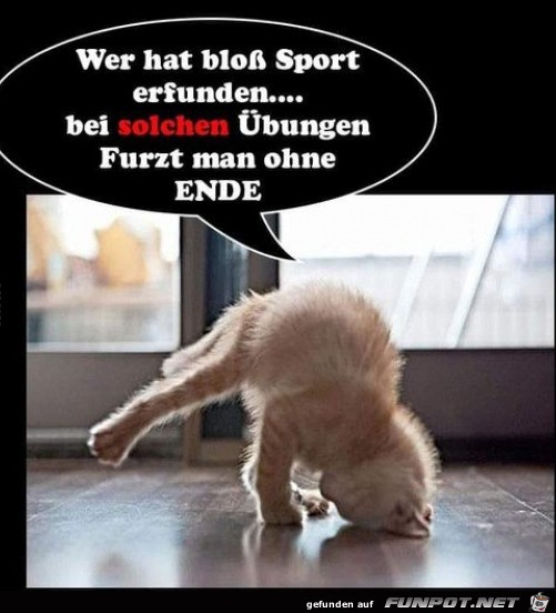 Blder Sport