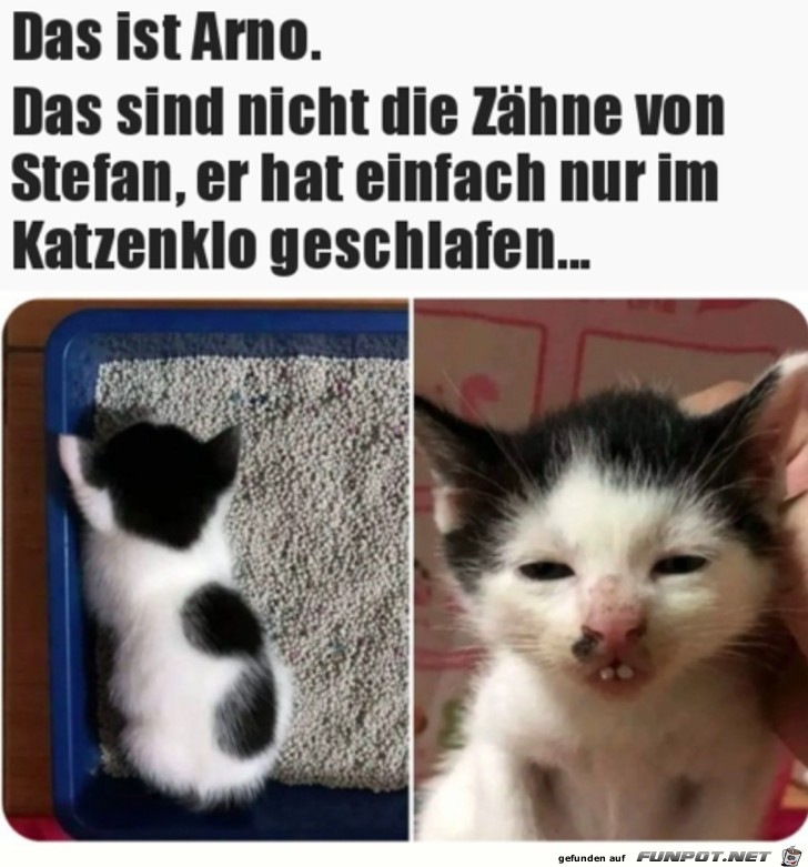 Keine Zhne geklaut