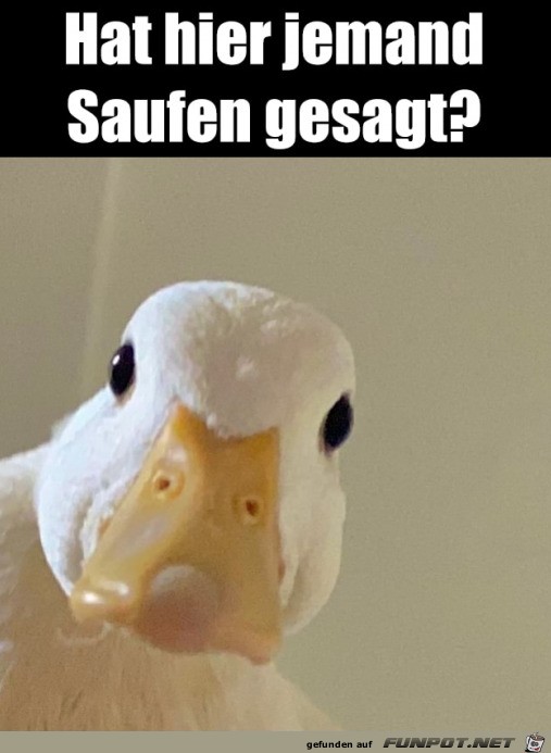 Saufen?