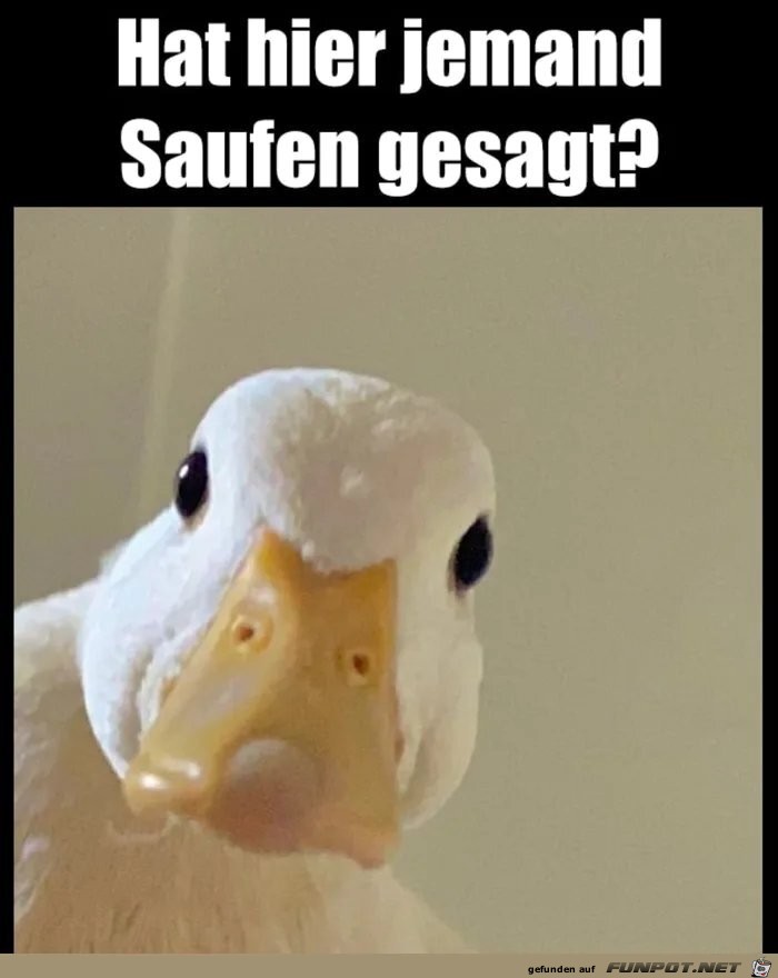 Saufen