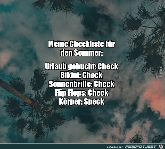 Sommer-Checkliste