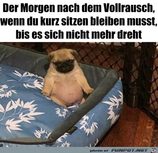 Erst mal langsam machen