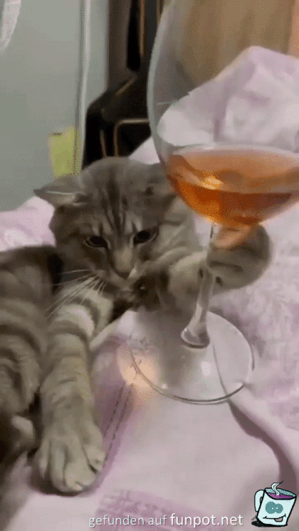 Katze liebt Wein