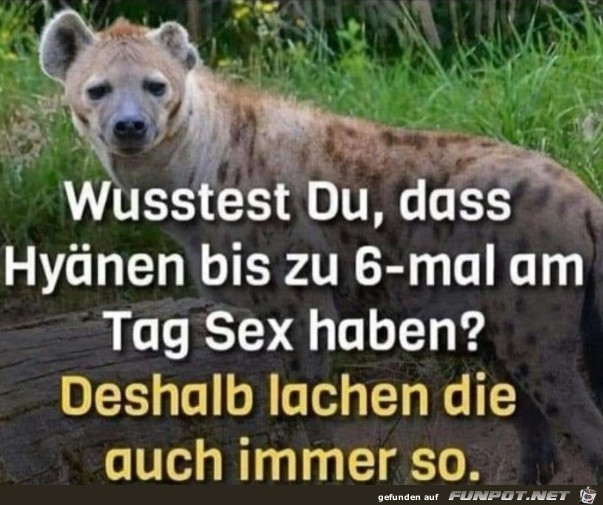 Wusstest du