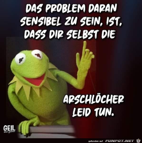 Das Problem Das Problem