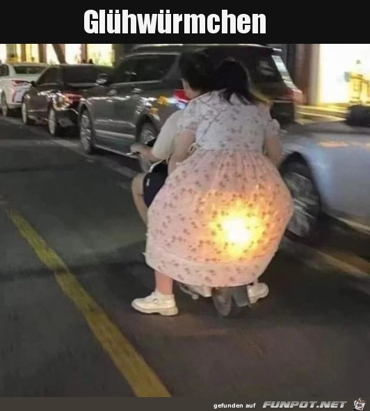 Ein Glhwurm