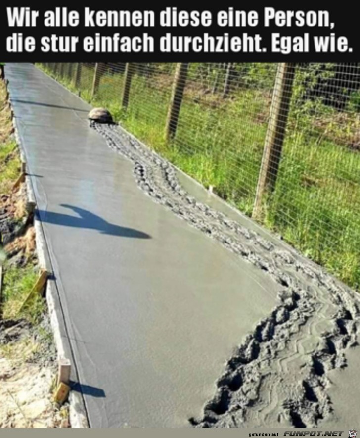 Einfach durchziehen