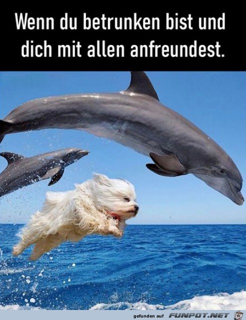 Neue Freunde gefunden