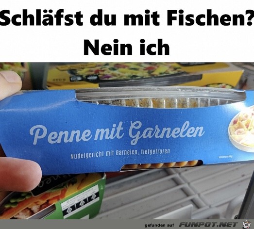 Fisch Fisch