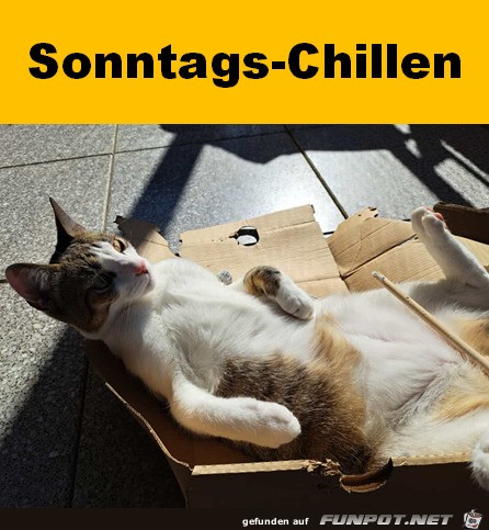 Chillen am Sonntag