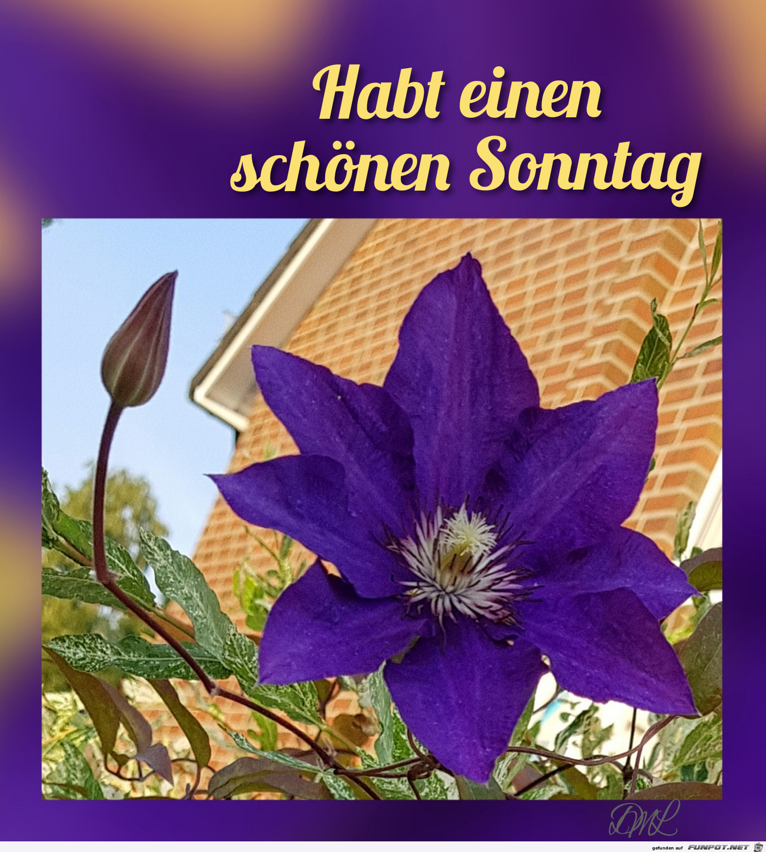 Sonntag