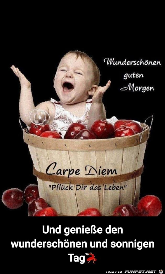 Guten Morgen