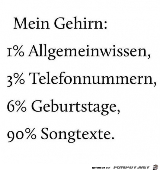 Hirn Hirn