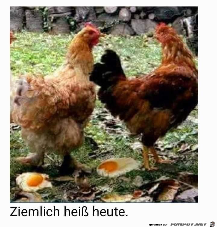 Es ist ziemlich hei