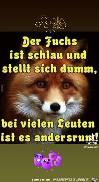 Der Fuchs