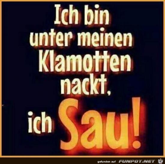 Ich Sau