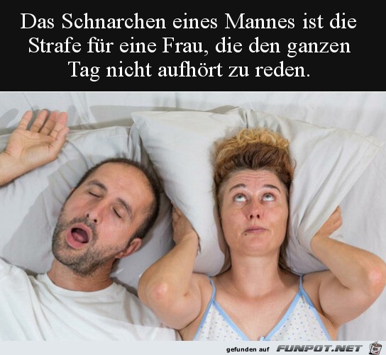 witzige Bilder aus verschiedenen Blogs