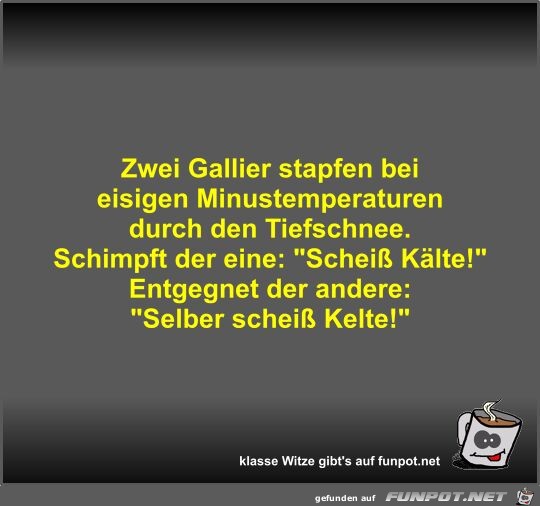 Zwei Gallier stapfen bei eisigen Minustemperaturen durch...