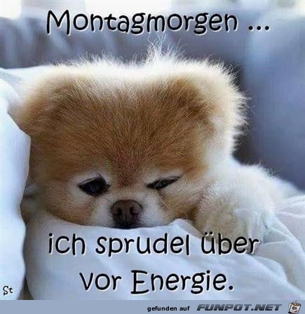 voll Energie