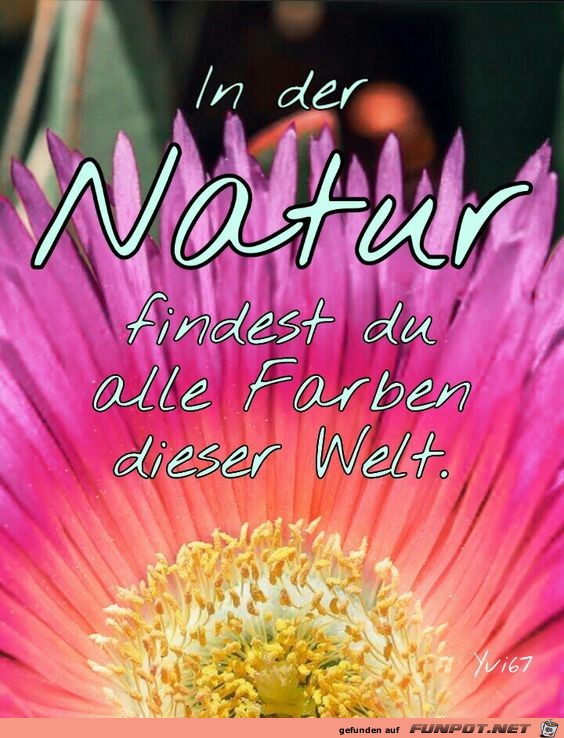 In der Natur