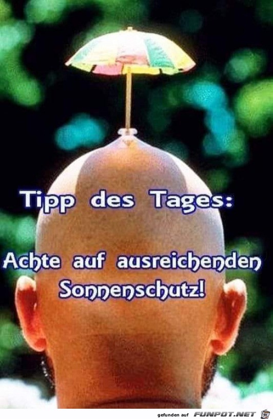 Toller Tipp