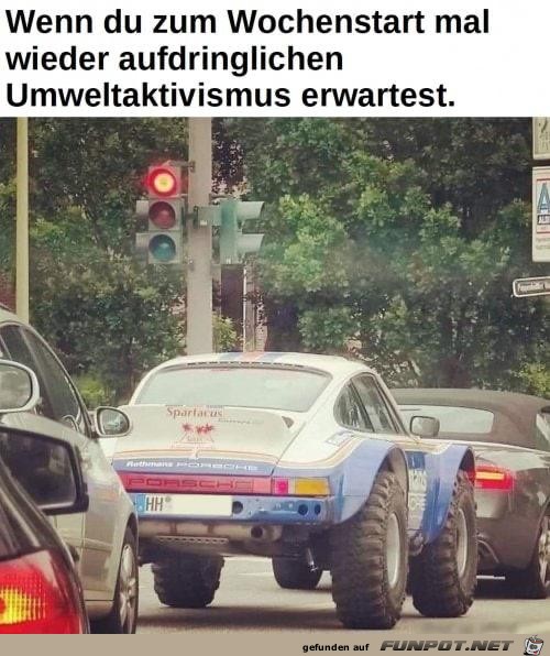 Umweltaktivismus