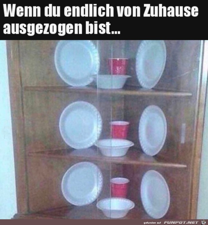 Endlich eine eigene Vitrine