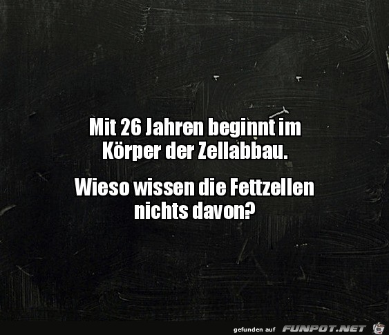 Der Zellabbau Der Zellabbau