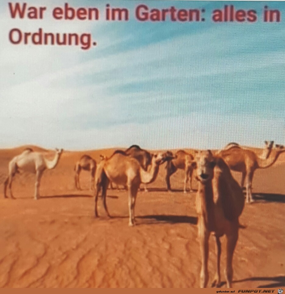 eben im Garten